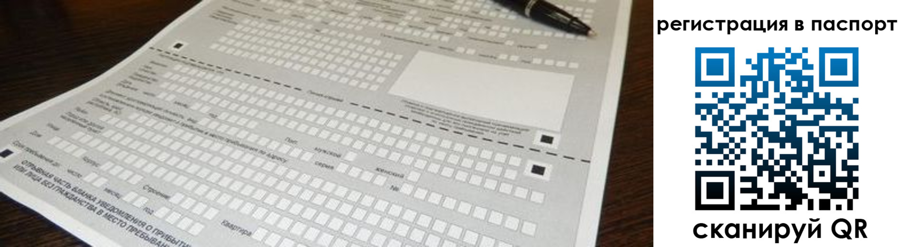 где прописаться в Ивантеевке